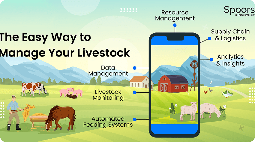 From Tradition to Transformation: The Future of Livestock Farming Management