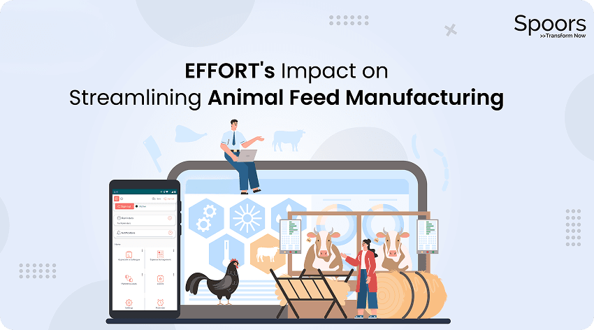 EFFORT’s Impact on Streamlining Animal Feed Manufacturing