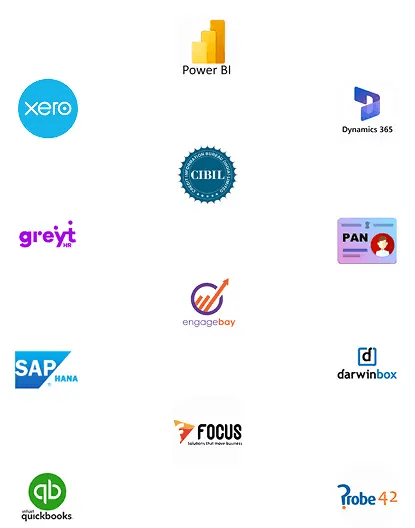 Integration Partners